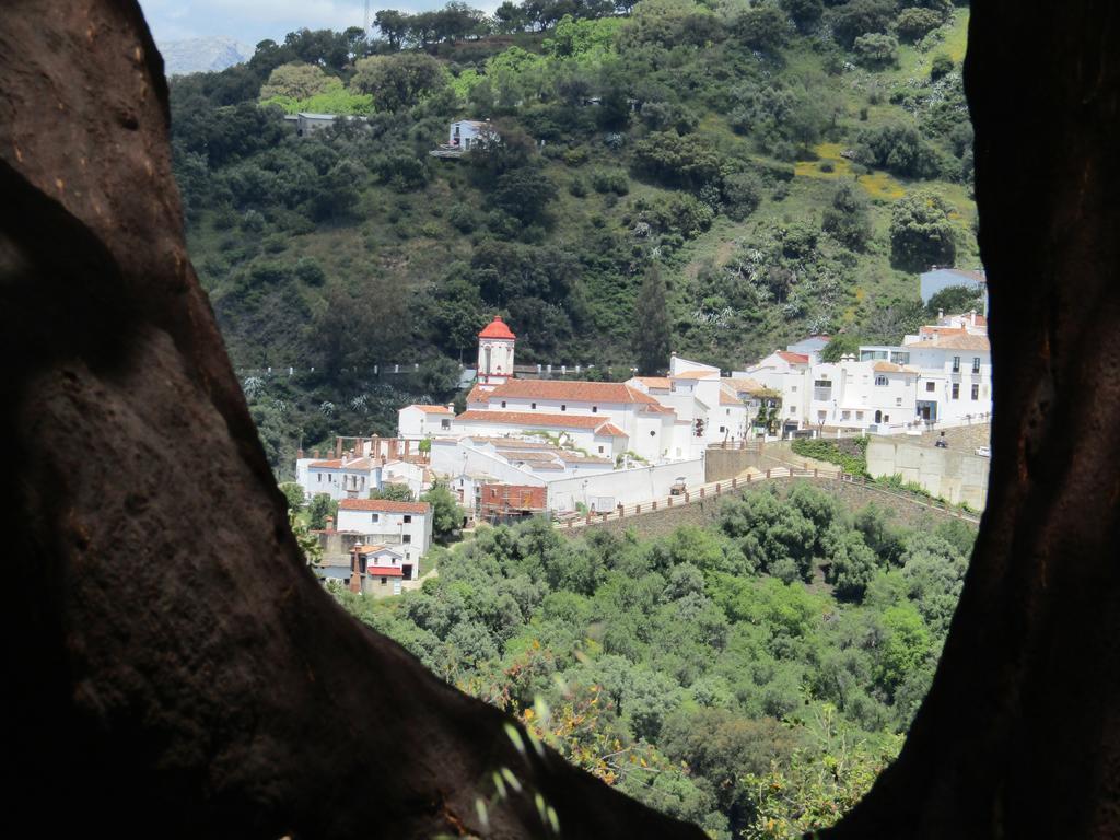 La Posada Del Recovero Genalguacil Ngoại thất bức ảnh